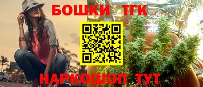 2c-b Кингисепп