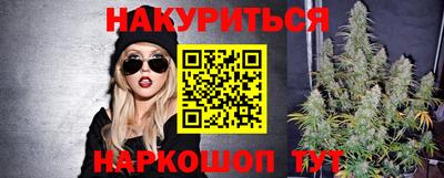 2c-b Кингисепп