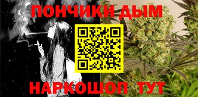 2c-b Кингисепп