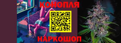 2c-b Кингисепп