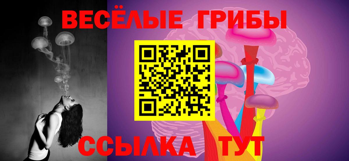 Комсомольск-на-Амуре  Галлюциногенные грибы Cubensis  Вход с VPN 